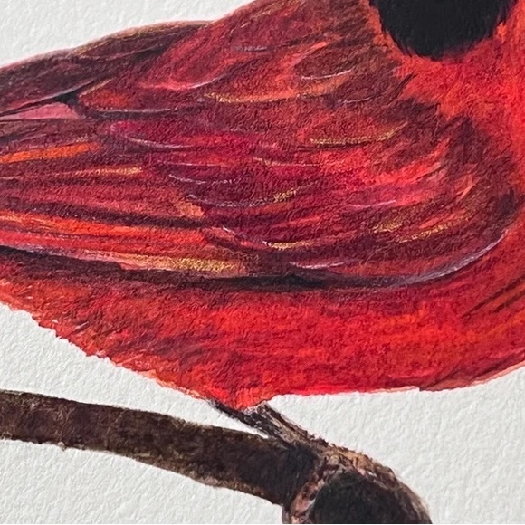 Original Watercolor Cardinal Bird Painting by me (Shannon Perrie/Perrie… - Picture 8 of 9